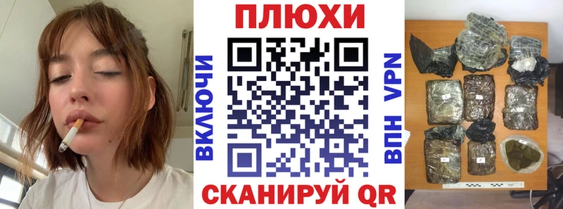 ГАШ Premium  где продают   Красный Сулин 