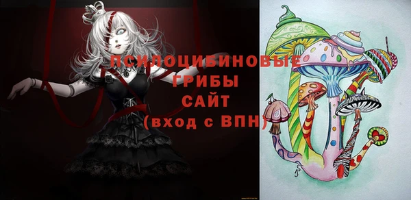 стаф Мегион