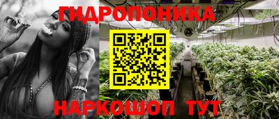jwh Ирбит