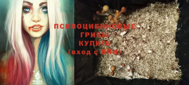 это Telegram  Красный Сулин  Псилоцибиновые грибы Magic Shrooms 