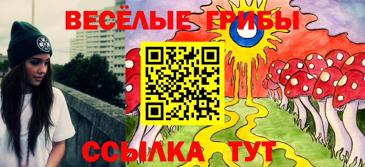 Галлюциногенные грибы прущие грибы  где можно купить наркотик  Красный Сулин  Вход с VPN  Галлюциногенные грибы мухоморы 