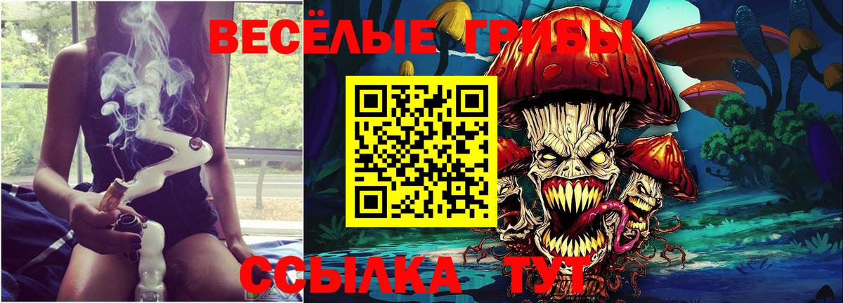 Галлюциногенные грибы Cubensis  Галлюциногенные грибы ЛСД  Красный Сулин 