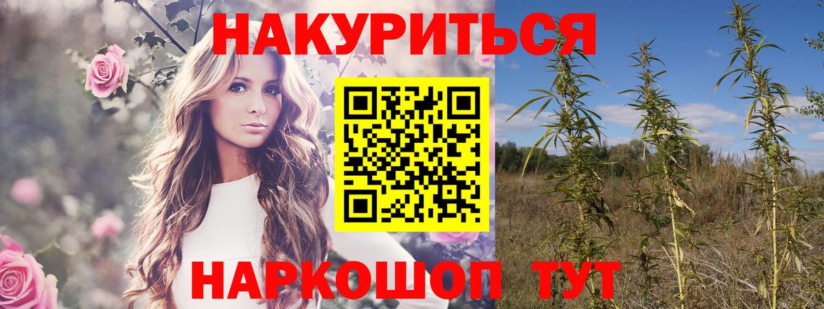 Шишки марихуана AK-47  Шишки марихуана White Widow  Конопля White Widow  Вход с VPN  Красный Сулин  Конопля MAZAR 